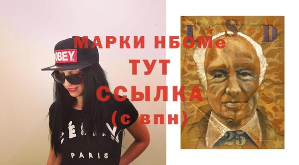 стаф Алзамай