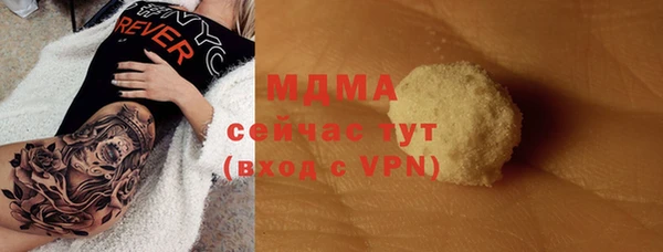 стаф Алзамай