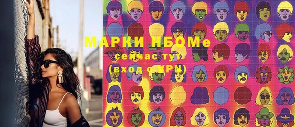 стаф Алзамай