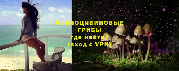 стаф Алзамай