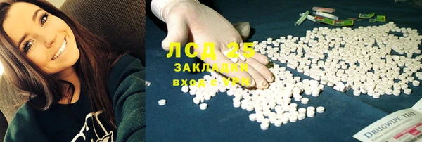 стаф Алзамай